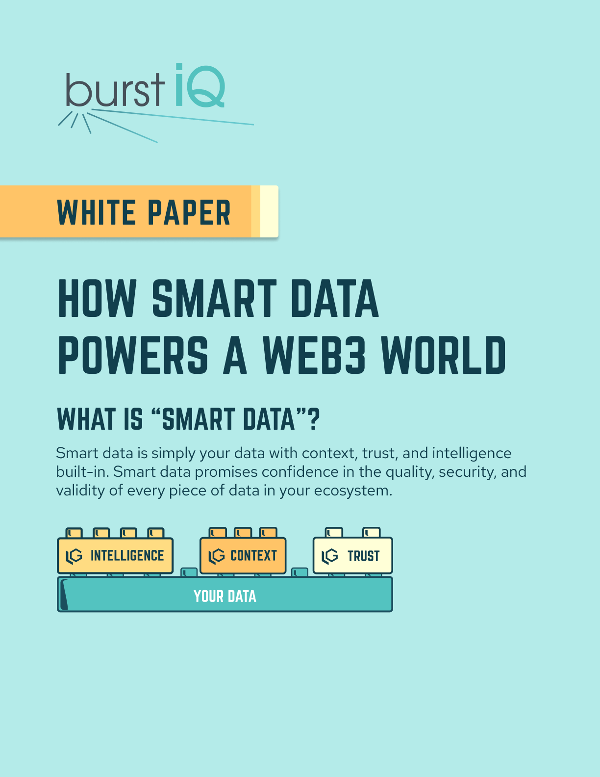 BurstIQ_SmartDataWhitePaper_Thumbnail2