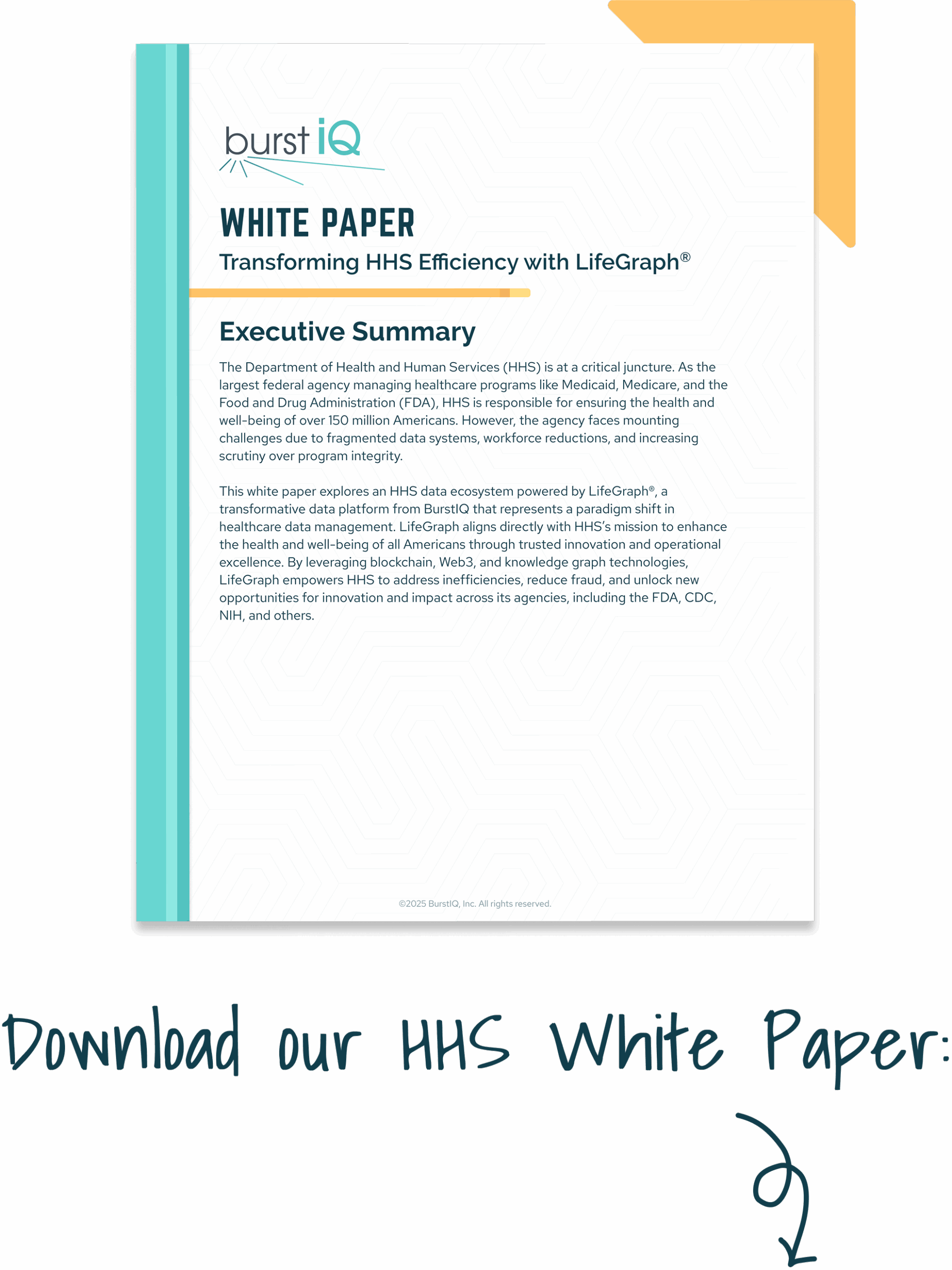 Image_DownloadHHSWhitePaper-down HHS White Paper Thumbnail