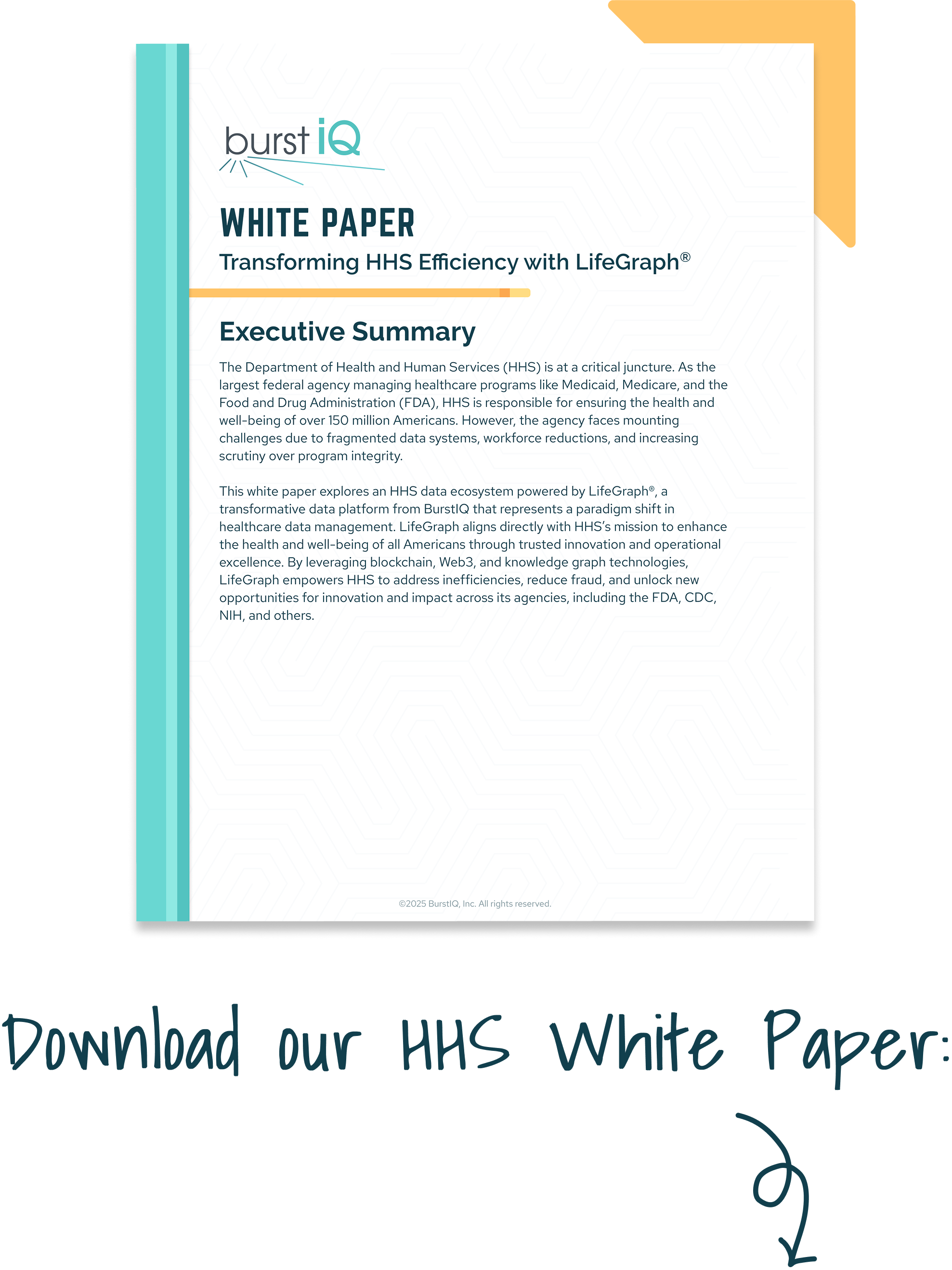 Image_DownloadHHSWhitePaper-down HHS White Paper Thumbnail